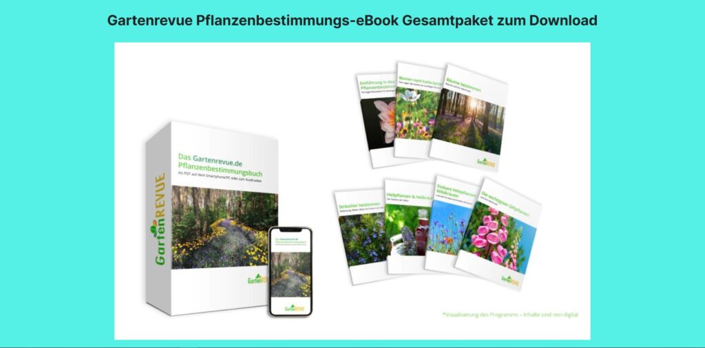 Das GartenREVUE Pflanzenbestimmungsbuch